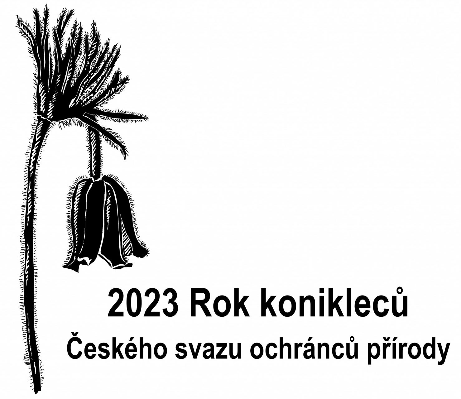 logo Rok konikle