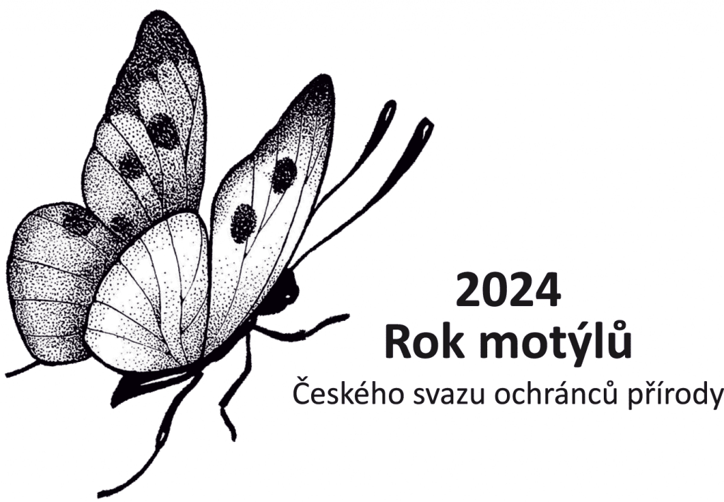 logo Rok motýlů